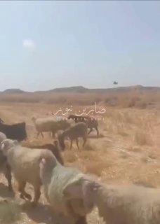 🔴עדכון וידאו