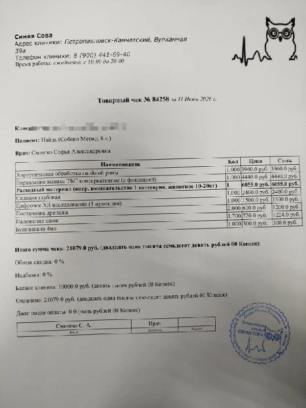 🚨 *НАЙДА, собачка, попавшая под машину,* до сих пор на...