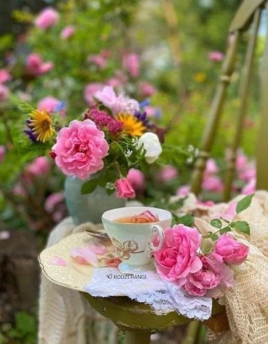 خانقاه سرخ: 🌷 سلام 🌿 صبح زیباتون بخیر🌷ان شاءالله🌿رزق و روزی تون زیاد🌷تنتون سالم🌿افکارتون سبز و مثبت🌷شادی هاتون فراوون🌿و زندگیتون پر