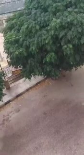 🌧️ "אב" מאבד את הלהבה באל-דינייה... גשמים וגשמים שוטפים&33;