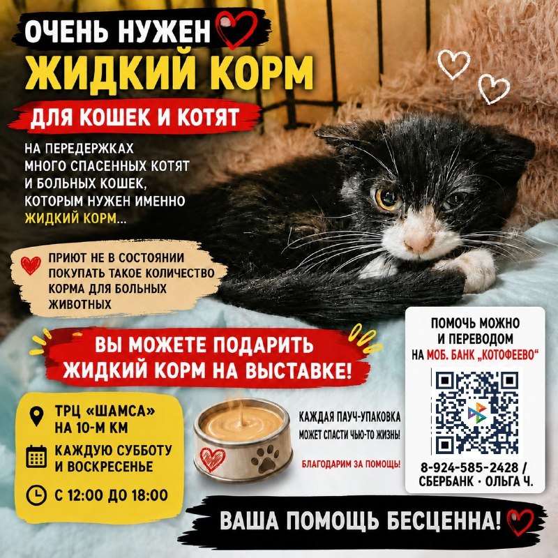 ОЧЕНЬ НУЖЕН ЖИДКИЙ КОРМ ДЛЯ КОШЕК И КОТЯТ приют...