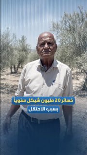 "העיירה קפין מפסידה (20 מיליון שקל) מדי שנה רק בעונת הזיתים, בגלל החומה ומגבלות הכיבוש".