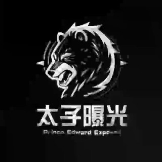 【太子曝光】TG中文导航💥 avatar