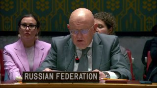 Russia's envoy to the United Nations in Venice: