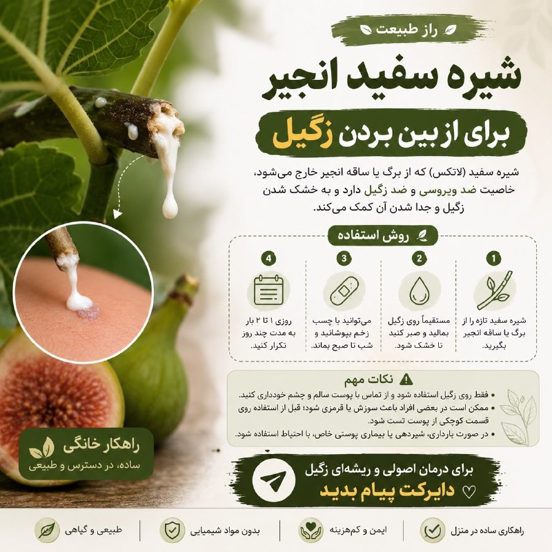 سیب سلامت🍏: ☑️شیره سفیده انجیر😃