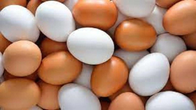 اﻧﻌﻜﺎﺱ ﺑﻨﺎﺏ: آذربایجان شرقی رتبه چهارم کشور در تولید تخم مرغ🔹رئیس سازمان جهاد کشاورزی آذربایجان‌شرقی گفت: ظرفیت واحد‌های مرغداری تخمگ