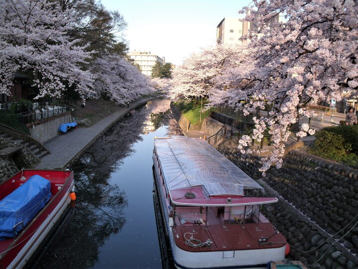 回憶第一次日本賞櫻之旅(中)--松川/合掌村/高山老街