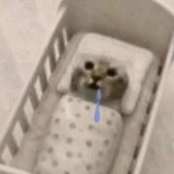 ⁠