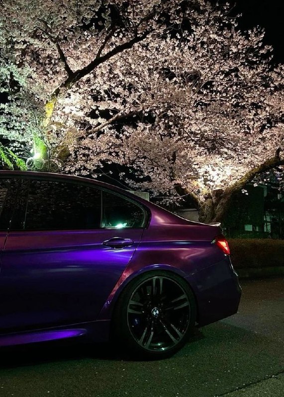 https://t.me/bmw_mpower_club