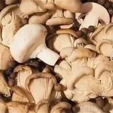 село Грибное 🍄