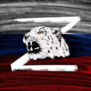 Telegram profile photo for Осетия на приёме 🫡