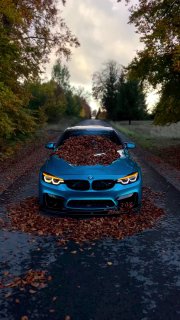 https://t.me/bmw_mpower_club