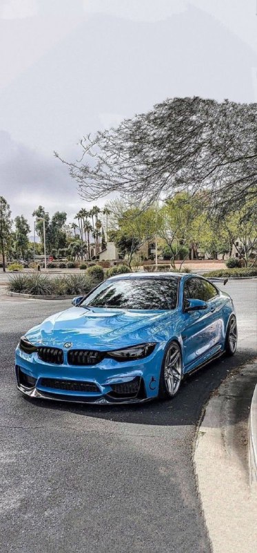 https://t.me/bmw_mpower_club