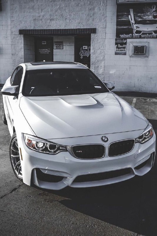 https://t.me/bmw_mpower_club