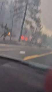 אסף רוזנצוייג