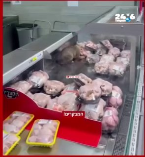 🇮🇱 חתולה תועדה אוכלת עוף במעדנייה בסופר.