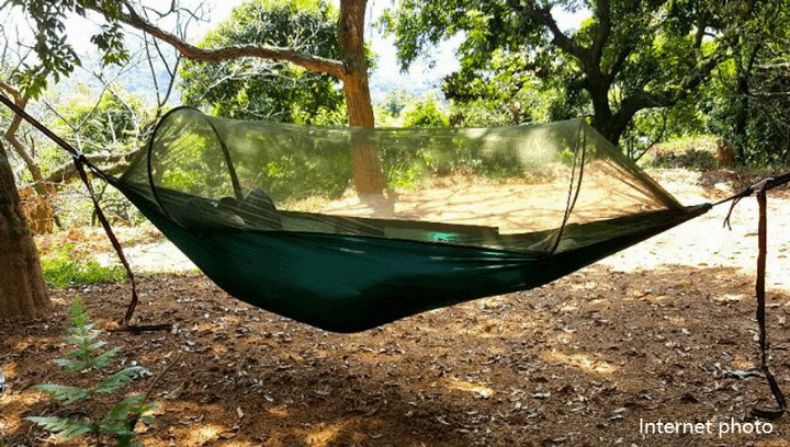 【省錢的非傳統旅宿妙法：露營】