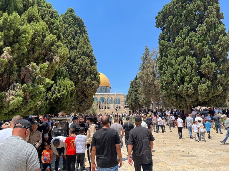 רשת חדשות ירושלים