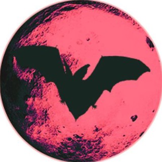 Dracula Protocol Announcements Telegram Group Link