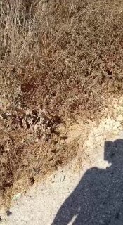 مستوطنون يقطعون المياه عن منزل في بيت إمرين