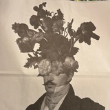 Идеально можно