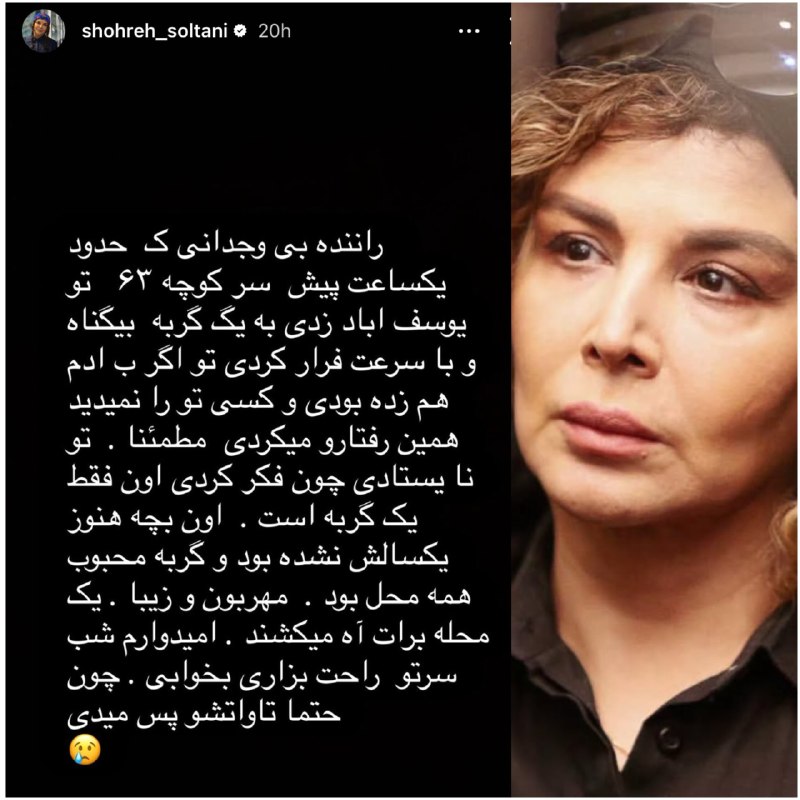 جیگیلی (هنرمندان): ⁨ .استوری دردناک شهره سلطانی برای مرگ گربه‌ی خیابانی‌‌شان توسط یک راننده⁩...#شهره_سلطانی#سینما_کتاب_ایران#بازیگران_زن#با