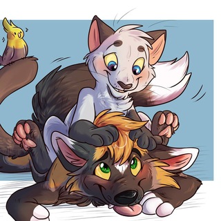 Любителям Кошек и Собак Telegram Group Link