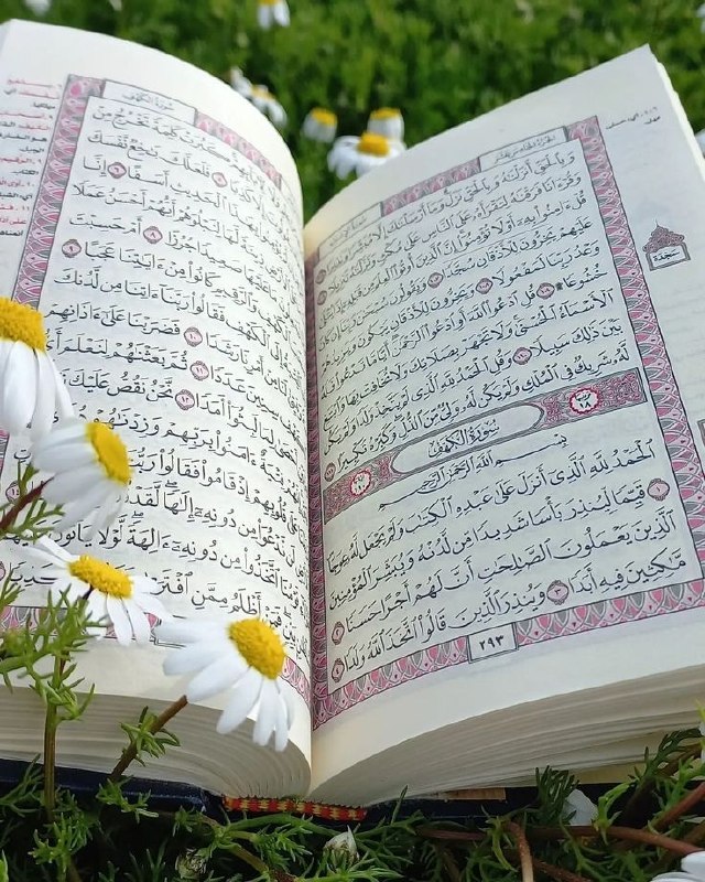 الباقيات الصالحات: رسانه پست