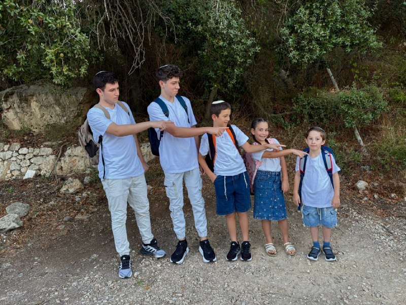 מבזקן 12