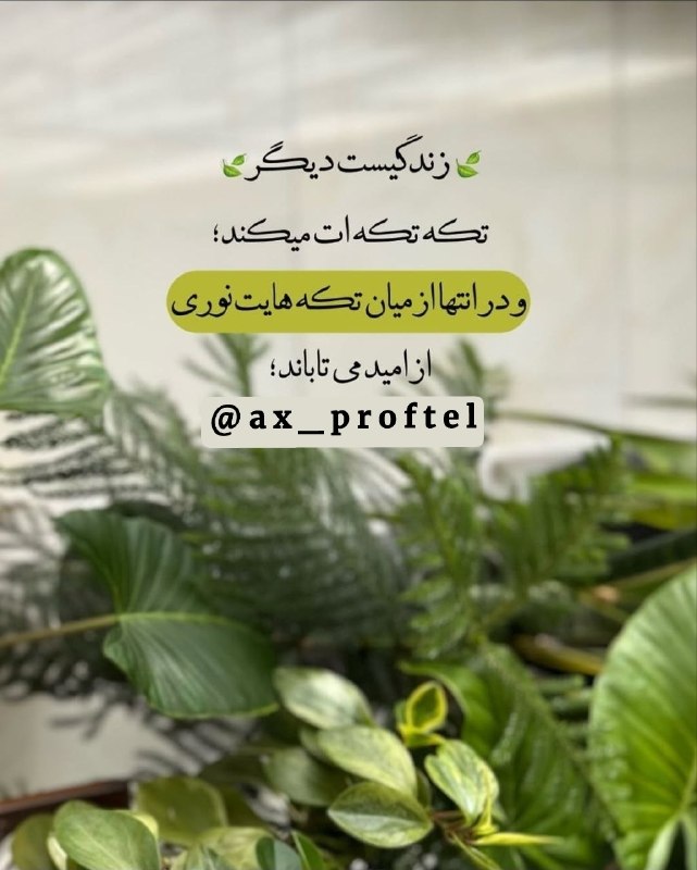 AxProfile | عکس پروفایل: · · ─ @ax_proftel ─ · ·