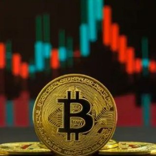 Perfect Finance Binary Trade Telegram Group Link