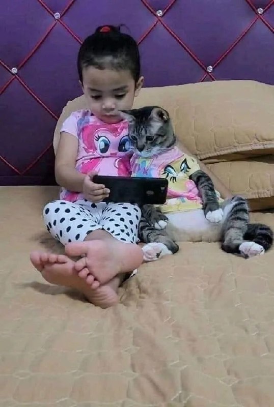 اختـــــــــاپــــوس: نوشته بود باباش ميگه براش گربه آوردم تا گوشی رو فراموش کنه، اما این اتفاق افتاد 😂😂😶 @Okhtapooous