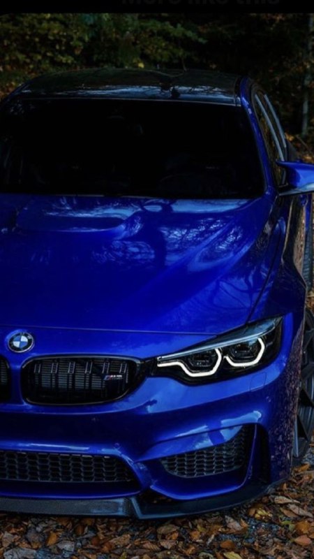https://t.me/bmw_mpower_club