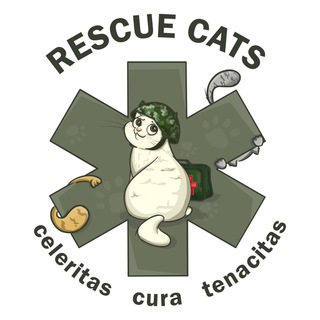 RESCUE CATS CHAT