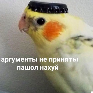 Балтика 9 Telegram Group Link