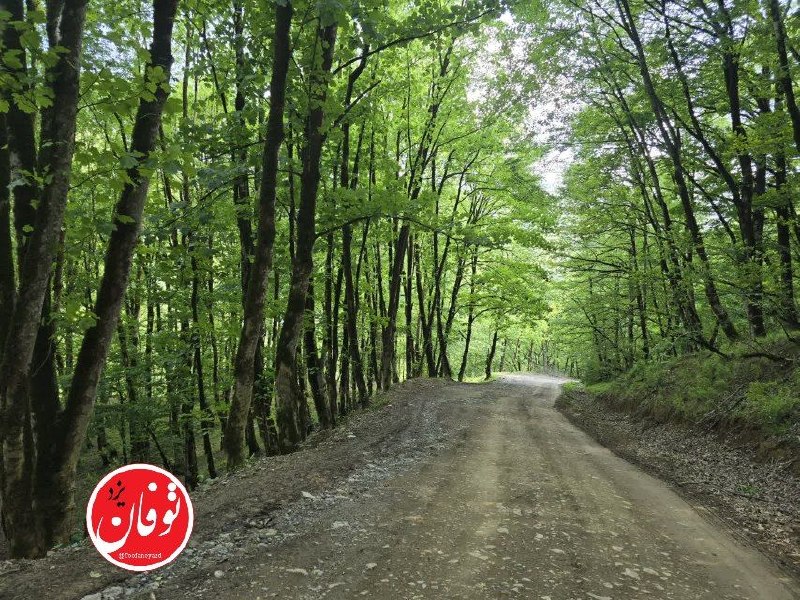 توفان یزد: فرصتی نیست بین ان لحظه که صدای صبح می پیچد در فضای بسته و تاریک شب و می شکند دیوار سکوت را تا لحظه ای که برمی اید و طلوع