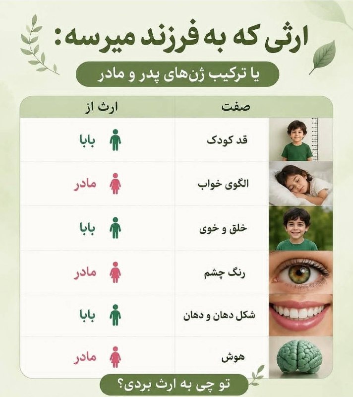 اخبار قزوین: ♦️ ارثی که به فرزند میرسه🤔#دانستنی@akhbarghazvin