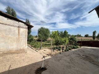 Xasanboy Betonkadan 5-6 km kirganda Uglavoy xovli sotiladi 8 sotix
