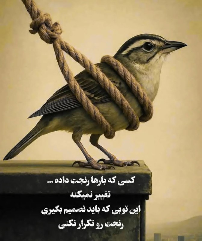 تک_عکس: رسانه پست