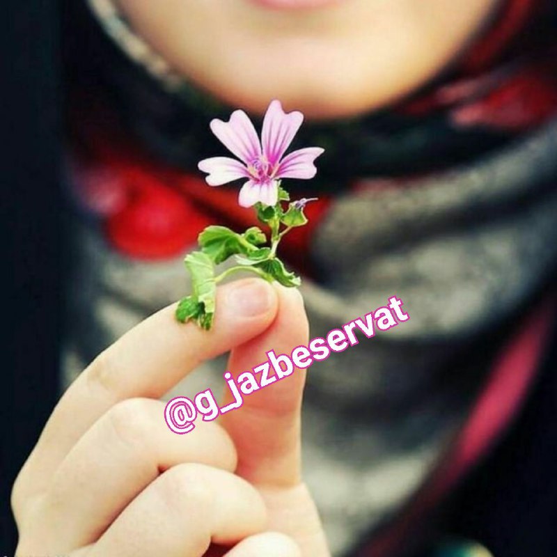 قانون جذب ثروت و موفقیت: #قانون_جذب🌸 به محض اینکه نیت یا قصدی کاملا روشن و محکم و نیرومند برای آفریدن چیزی داشته باشید، خواسته هایتان تقریبا بی د