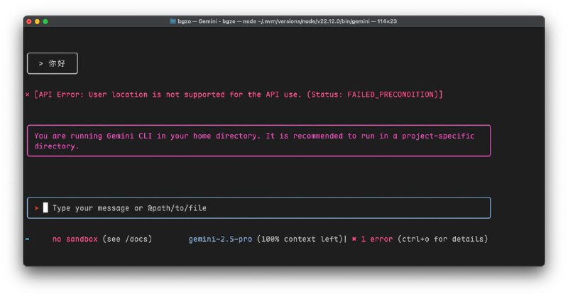 🇭🇰区怎么你了嘛，可恶😭#geminiCli