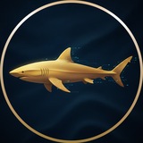 Crypto SHARK 🦈