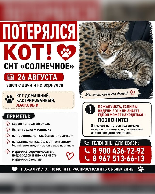 Потерялся кот! Помогите найти!

26 августа ушёл с...