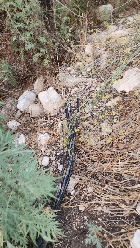 مستوطنون يقطعون الكهرباء عن منطقة المسعودية شمال غربي نابلس