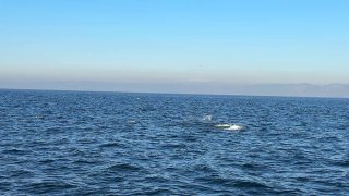 好运见者有份🍀