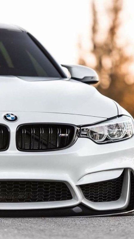 https://t.me/bmw_mpower_club