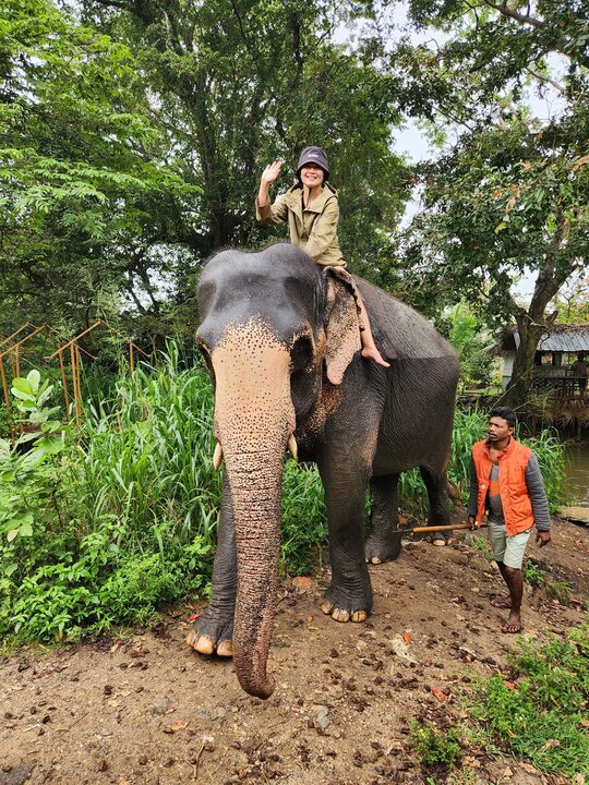 大象王國斯里蘭卡騎象的反思