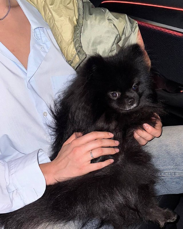 Меньше 24 часов до того, как открою возможность записаться на курс в инстеГотовлюсь не спать…