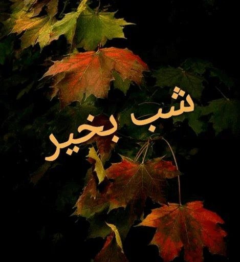 𖣘𖣘 سماع 𖣘𖣘: شب خوش🍃✨🍃