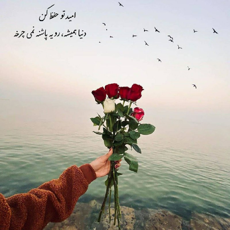 ☕️قَـہــوہ تـَلــْخ☕: من هرگز نمی‌گویم در هیچ لحظه‌ایاز این سفرِ دشوار، گرفتار ناامیدی نباید شدمن می‌گویم: به امید بازگردیم،قبل از اینکه ناامی